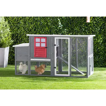 Duchess Chicken Coop with Nesting Box For Up To 4 Chickens