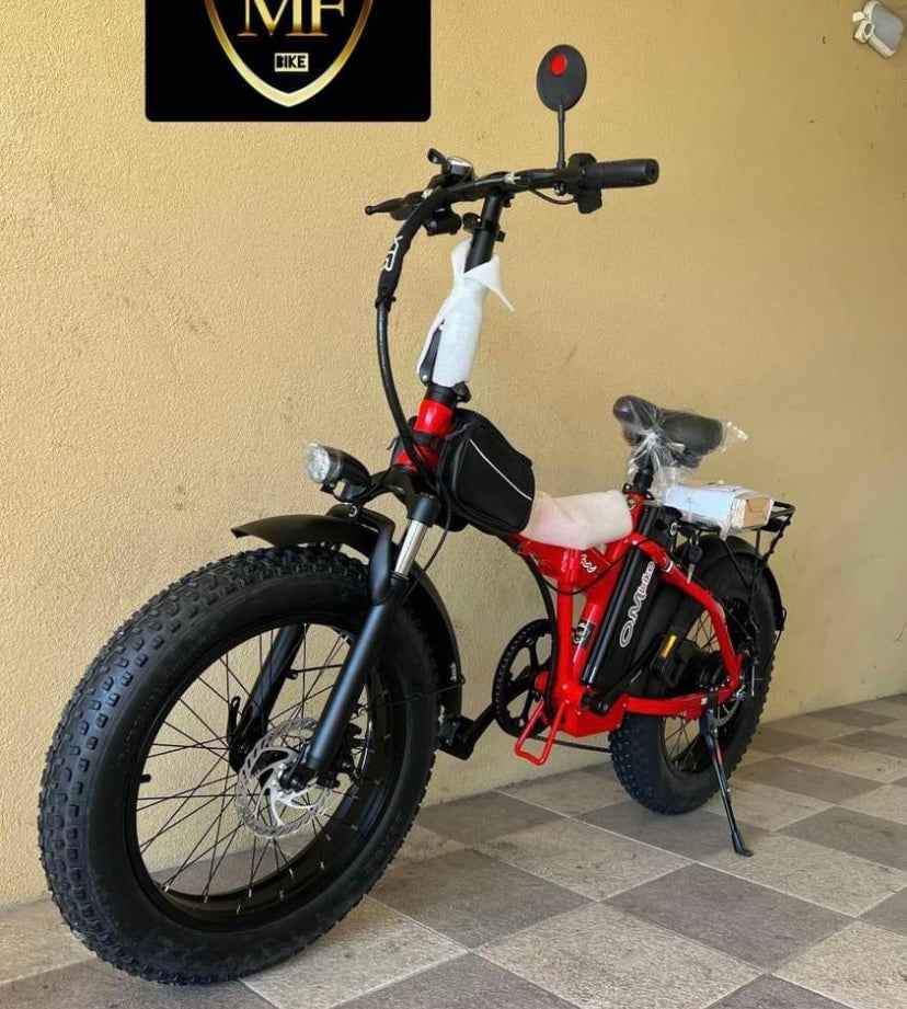 Bici elettrica Fat bike