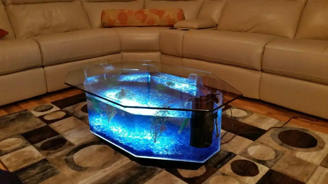 28 Gallon AquaTable Aquarium Octagon