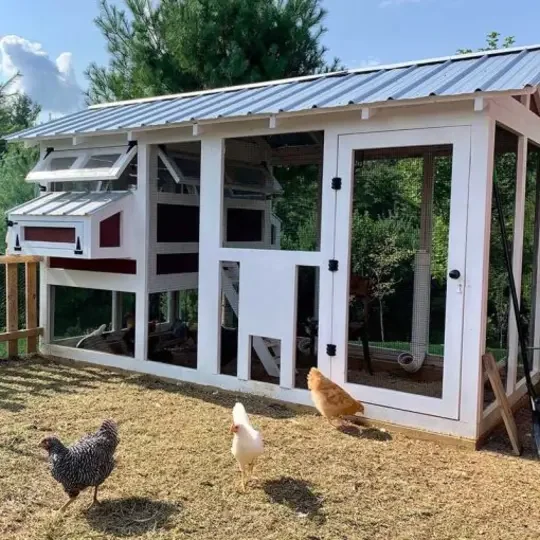 Outdoor Chicken Coop
