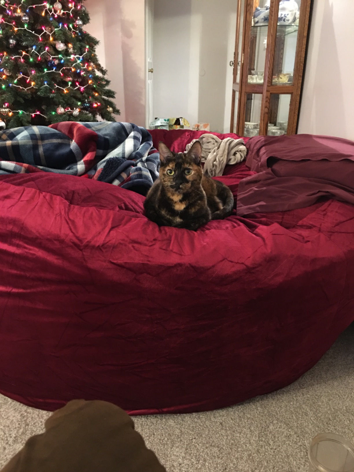 【Furniture】6000 Bean Bag Chair w/Footstool: Giant Foam-Filled Furniture - Machine Washable Covers